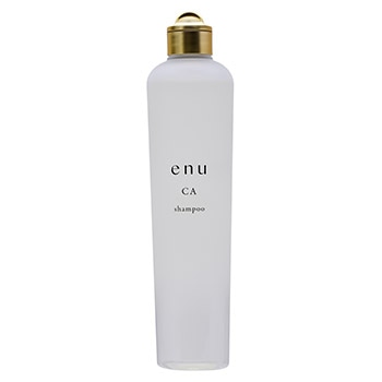 エヌ シャンプー CA